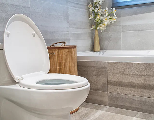 Dean Leith Plumbing - Lincoln IL - toilet plumbing services